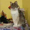 Отзыв от Эльмира Павлова